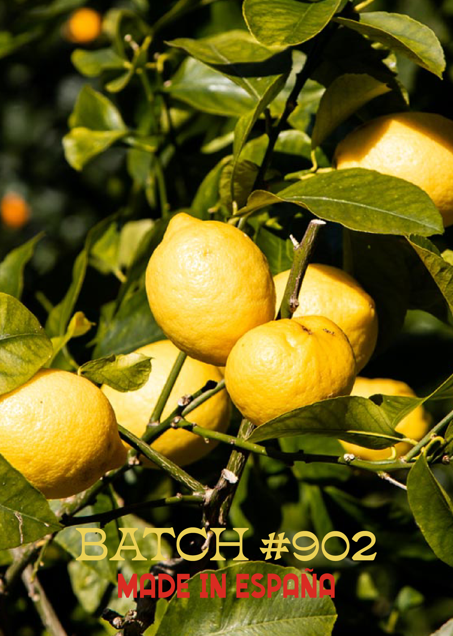 lemon_duo_pair-79